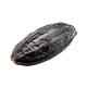 Tonka bean